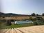Immagine 19