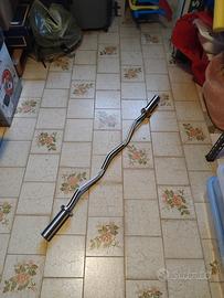 Bilanciere "Ez curl" LACERTOSUS