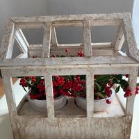 FIORIERA PICCOLA SERRA