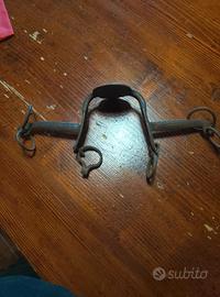 musetta campana per animali da soma