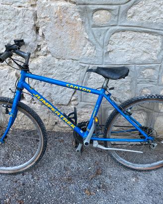 Bici bimbi N.24