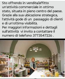Attività commerciali in pieno centro del paese