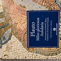 Miles gloriosus & Aulularia