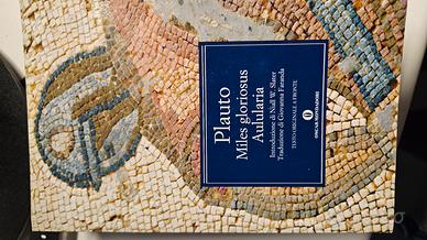 Miles gloriosus & Aulularia