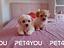 Immagine 20