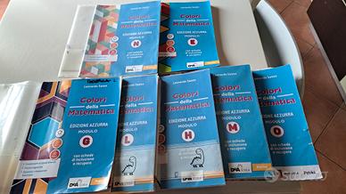 libri di matematica liceo artistico