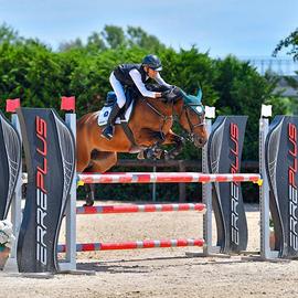 Pony irlandese da salto 14 y.o