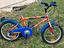 Immagine 1