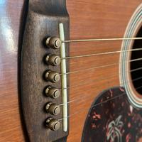 chitarra Acustica elettrificata Hondo vintage