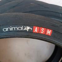Copertoni Bmx Animal ASM sleek 20"X1.95