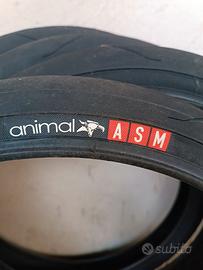 Copertoni Bmx Animal ASM sleek 20"X1.95