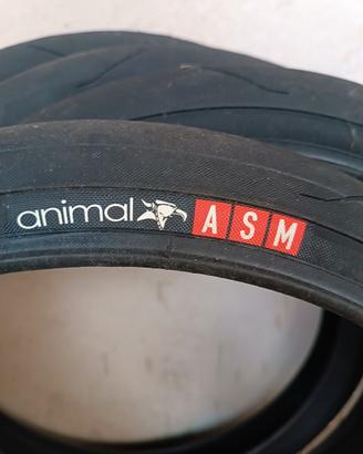 Copertoni Bmx Animal ASM sleek 20"X1.95