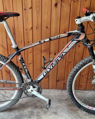 MTB Olympia Drake 26” – Shimano Alivio
