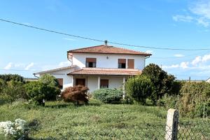 CAVARZERE: 133B: Singola con magazzino e scoperto