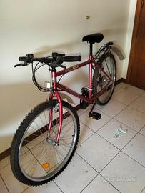 bicicletta sportiva 