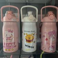 bottiglia l'acqua inacciaio