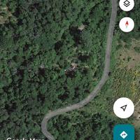 Castagneto/maronaia con casetta in legno