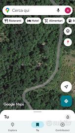 Castagneto/maronaia con casetta in legno