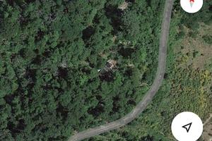 Castagneto/maronaia con casetta in legno