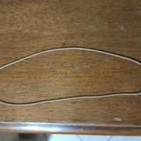 Catenina Guess