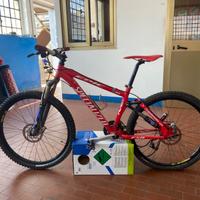 Bicicletta Specialized