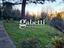 Immagine 10