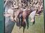 Immagine 5