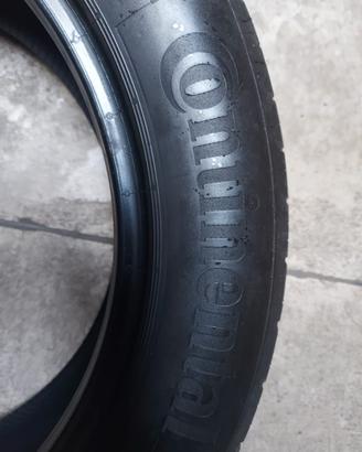 Gomme estive 