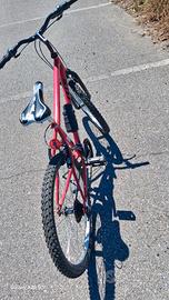 bicicletta 