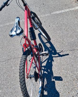 bicicletta 