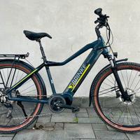 Bicicletta elettrica ebike