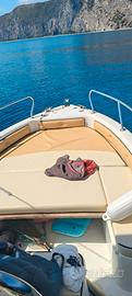 Saver 540 Evinrude 90cv