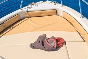 Saver 540 Evinrude 90cv