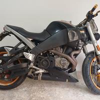 buell xb12s 