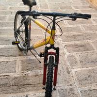  bici da adulto 