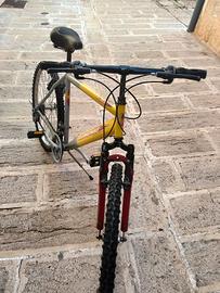  bici da adulto 