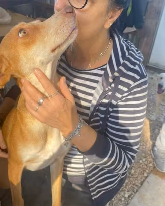 Wendy meravigliosa cagnolina