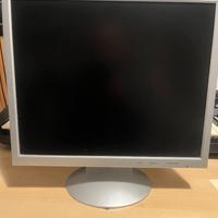 monitor OLIDATA per pc