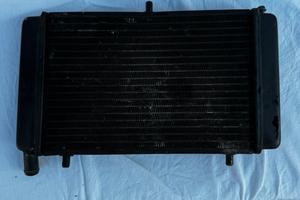 RADIATORE RS/TUONO 125