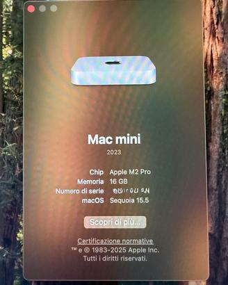 Mac mini M2 Pro 16GB / 512GB – 10 CPU / 16 GPU