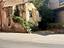 Immagine 9