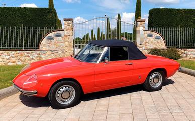 Alfa Romeo Spider Duetto osso di seppia 1750