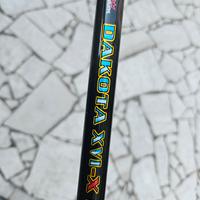 canna da carp fishing  o spinning pesante 