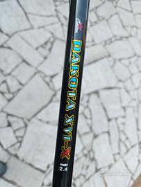 canna da carp fishing  o spinning pesante 