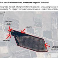 Terreno agricolo con abitazione Sardara