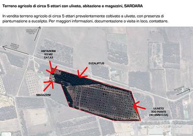 Terreno agricolo con abitazione Sardara