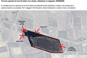 Terreno agricolo con abitazione Sardara