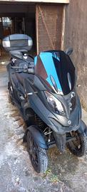 qooder quadro 4