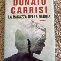 La ragazza nella nebbia