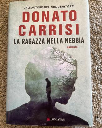 La ragazza nella nebbia